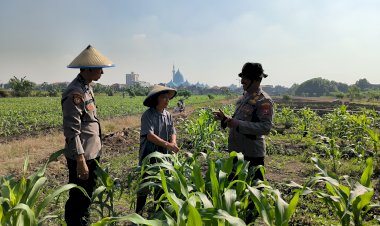 Kolaborasi-Polsek-Taman-dan-Petani-Kelola-Lahan-Jagung-untuk-Ketahanan-Pangan