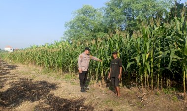 Polisi-Pacu-Petani-Serius-Garap-Lahan-Jagung-di-Desa-Durungbedug